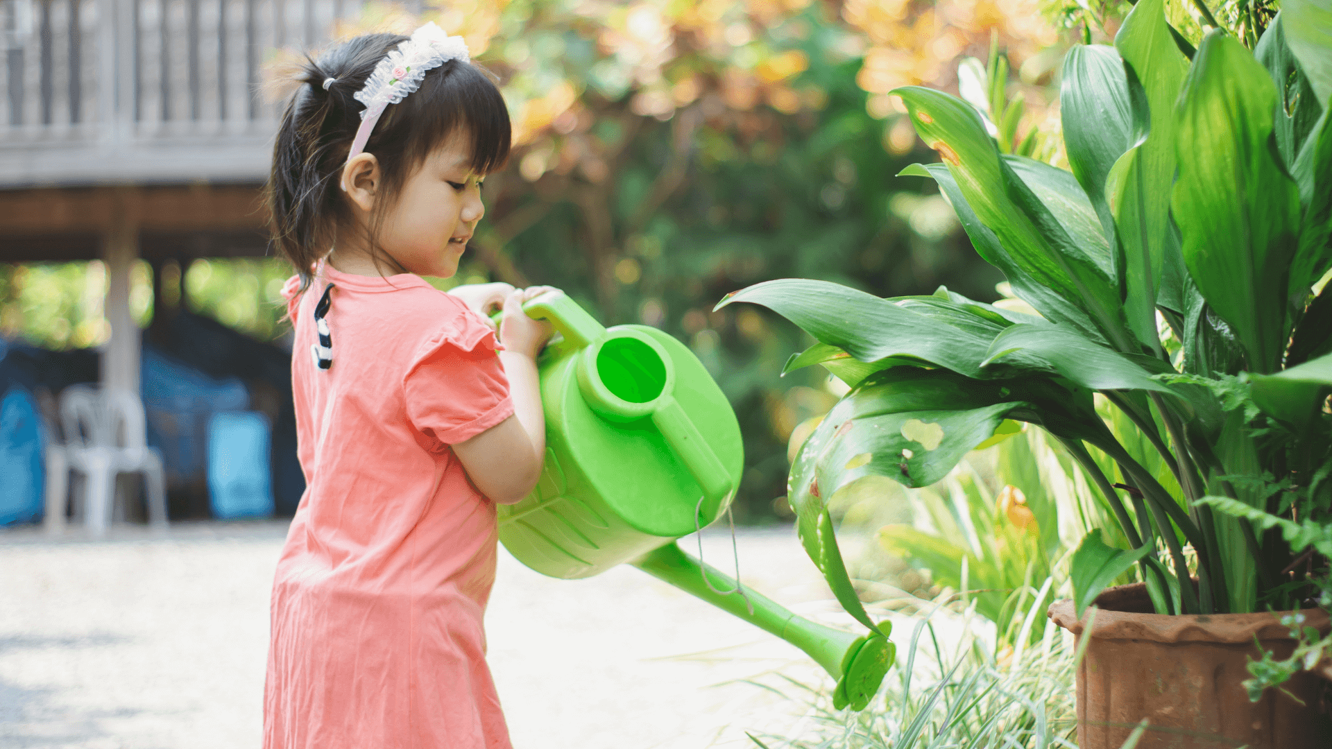A young girl nurtures a houseplant with a watering can.