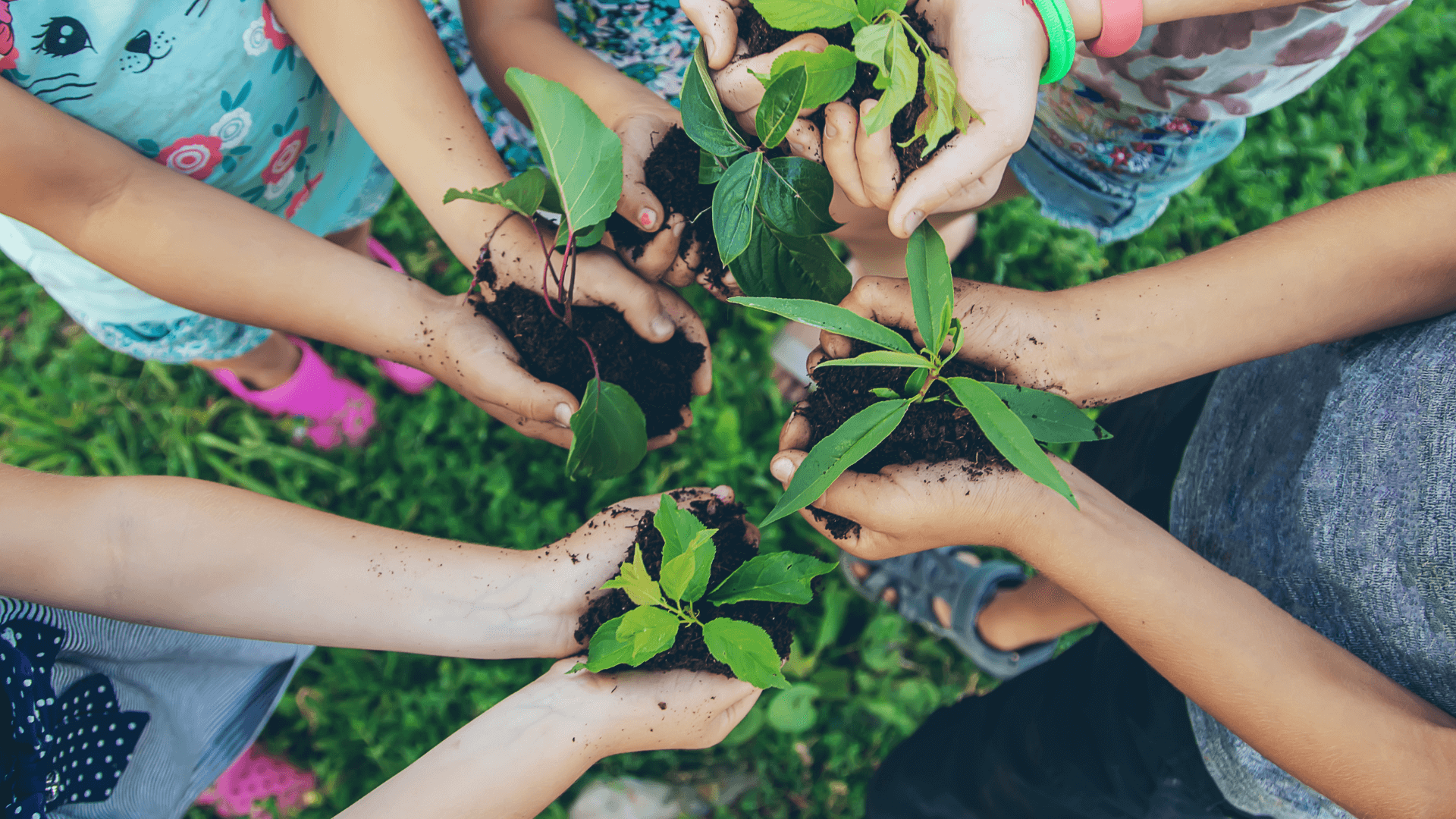 Children engage in outdoor learning activities within a Montessori environment, using child-sized gardening tools to explore and interact with nature, promoting a hands-on learning experience.