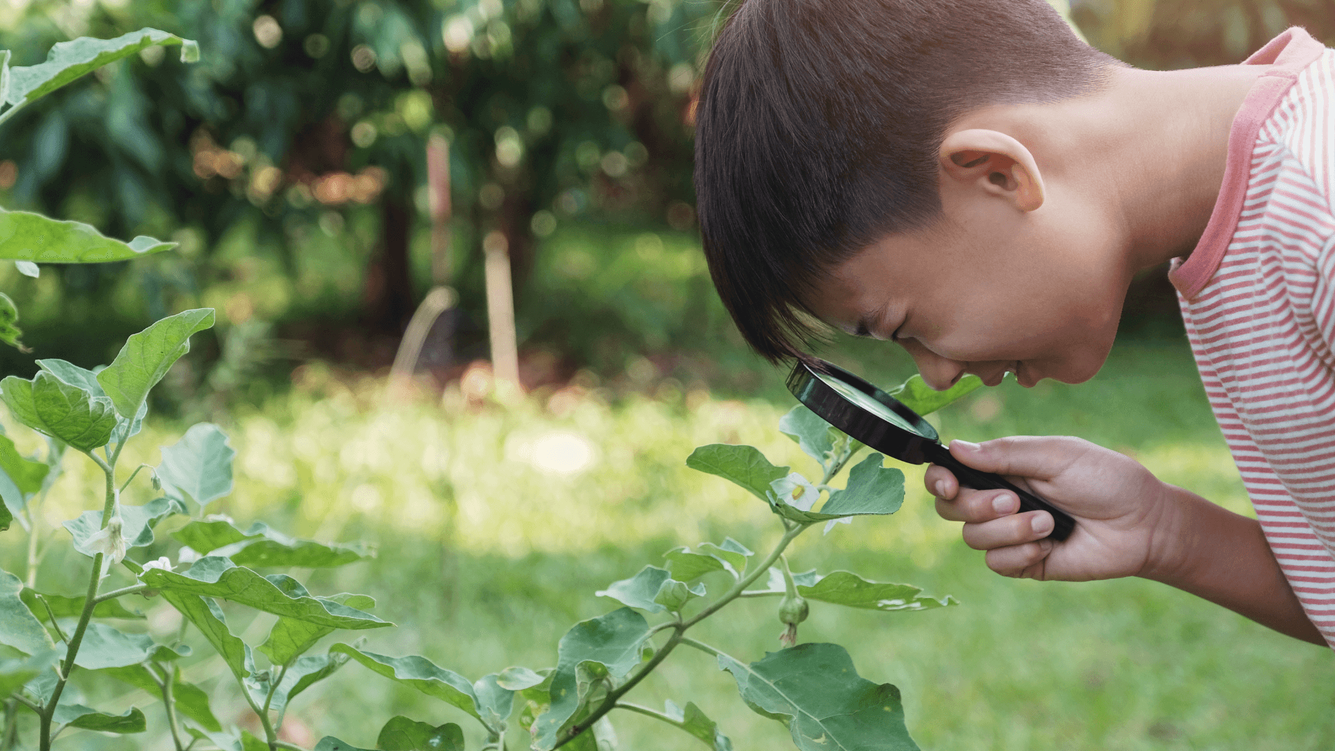 A child walking along a nature trail, observing leaves and flowers with curiosity, engaging in a mindful exploration of the environment.